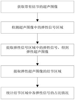 一种超声图像的弹性信号提取装置发明专利