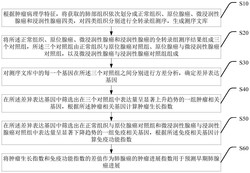 一种基于基因表达信息预测早期肺腺癌进展的方法及装置